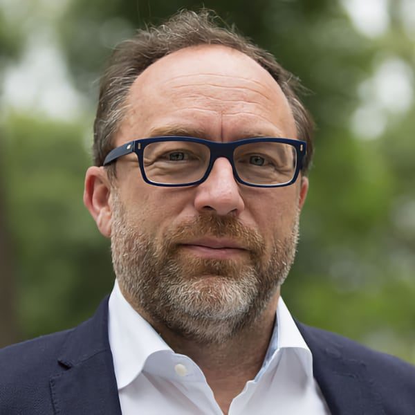 Jimmy Wales, Wikimedia