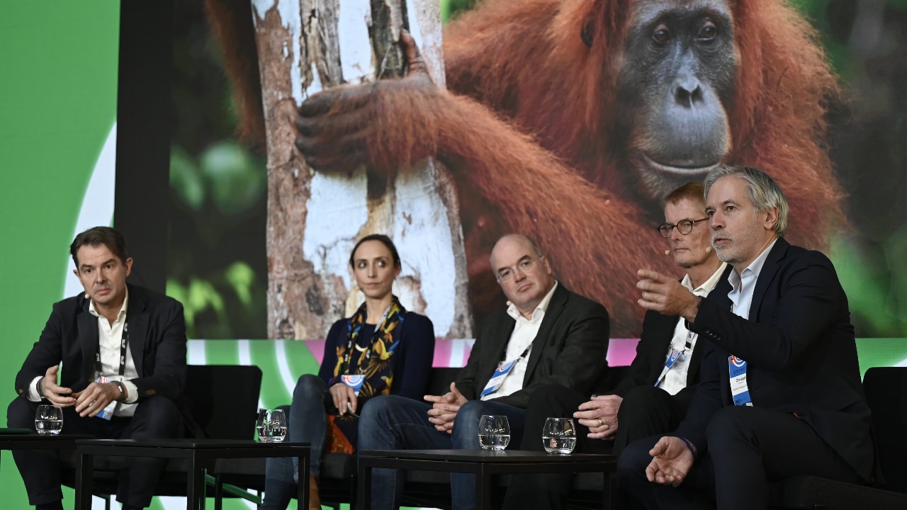 From left to right: Martin Stuchtey (Landbanking Group), Auguste von Bayern (BIOTOPIA), Thomas Becker (BMW), Tim Coles, (rePLANET) and Christof Schenck (Frankfurt Zoological Society) discuss biodiversity and the value of nature at the DLD Munich Conference 2024.