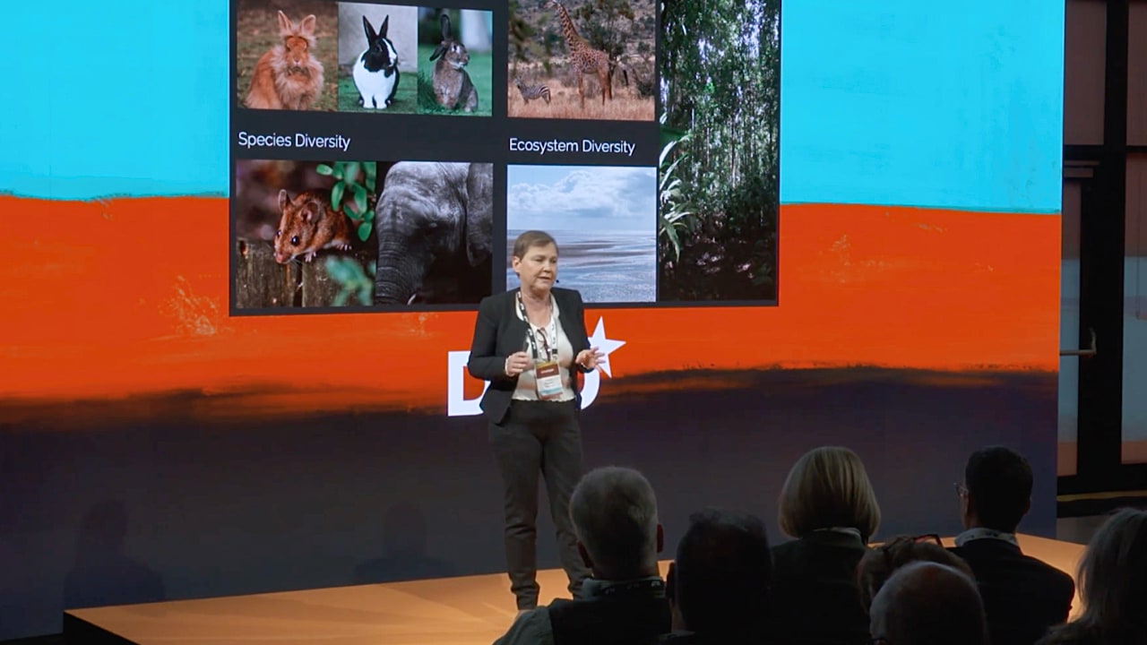 Tropical biologist Dr. Frauke Fischer (University of Würzburg) on stage at the DLD Nature conference.