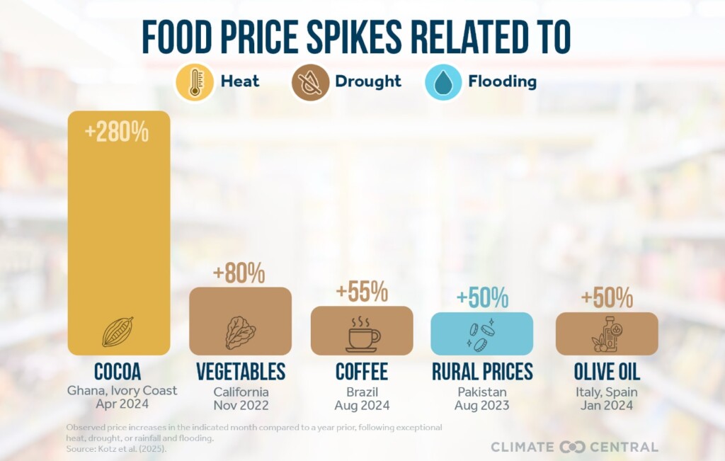 Climate Central chart “food price spikes related to heat, drough and flooding” for cocoa (+280%), vegetables (+80%), coffee (+55%), rural prices in Pakistan (+50%), and olive oil (+50%)